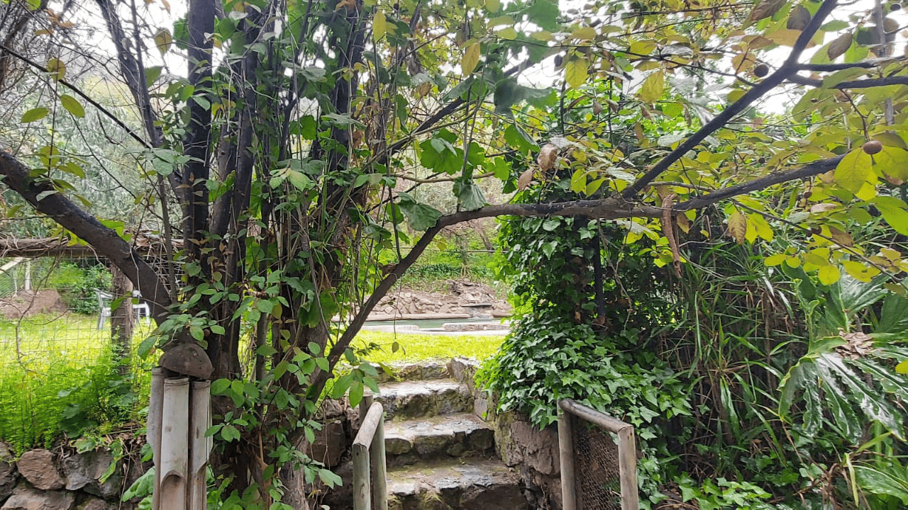 Entrada principal del centro de rehabilitación