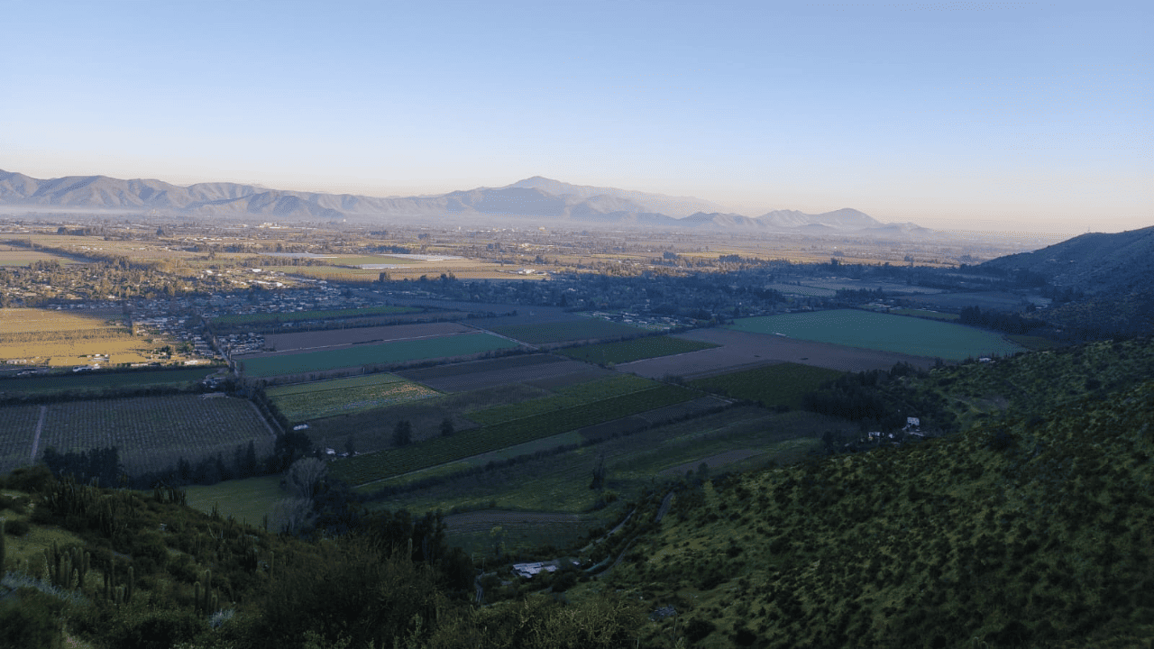Biblioteca y zona de lectura